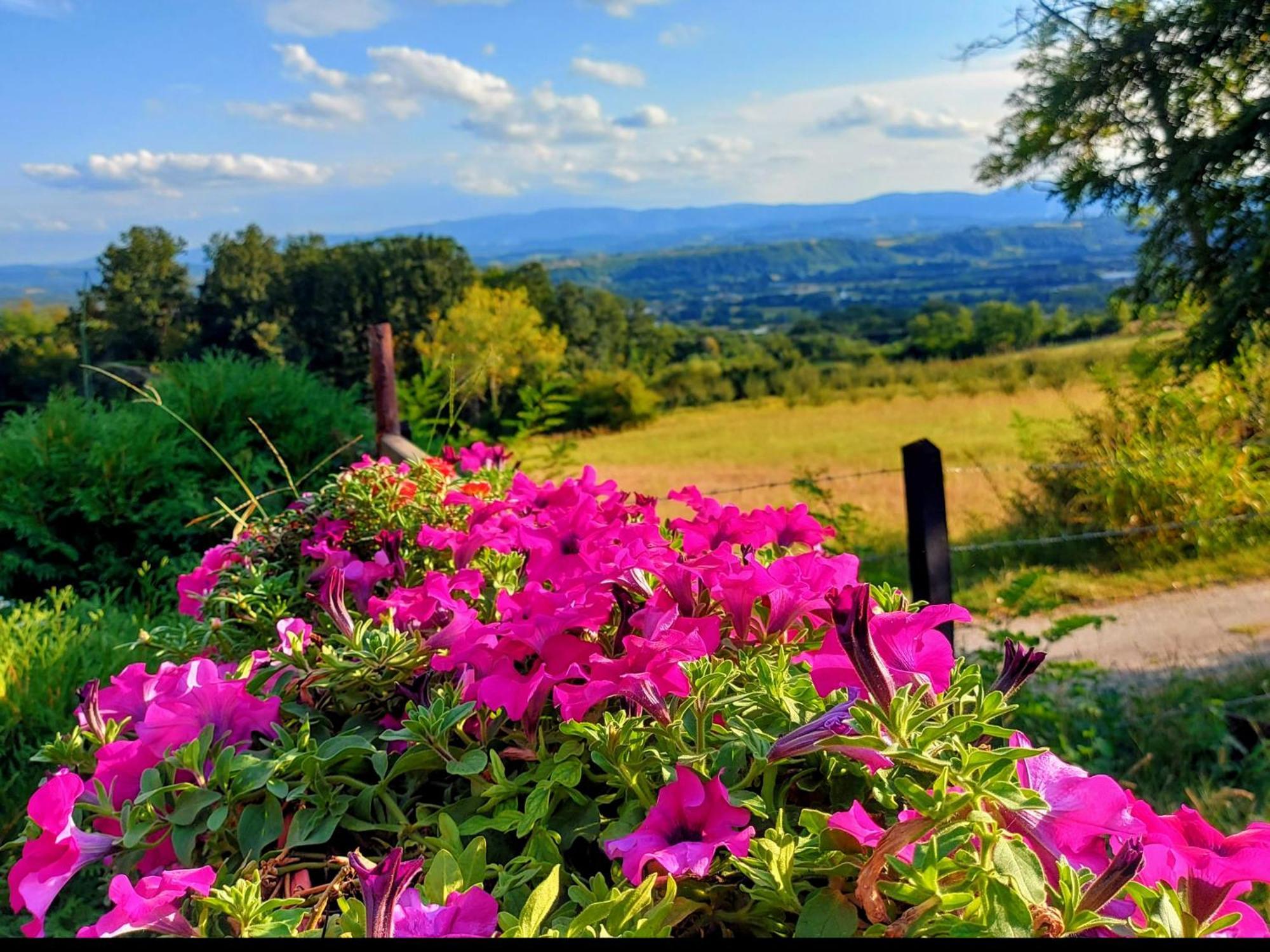 Kuca Za Uzivanje Valjevo Exteriér fotografie