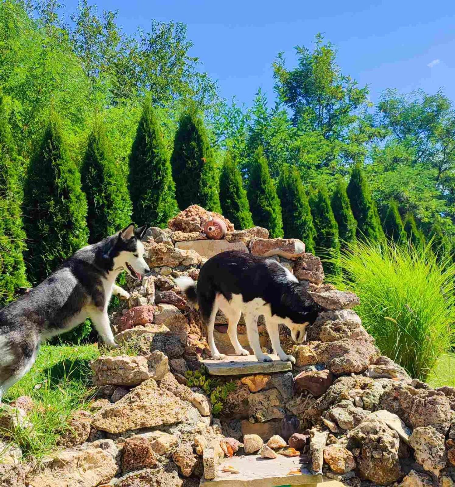 Kuca Za Uzivanje Valjevo Exteriér fotografie